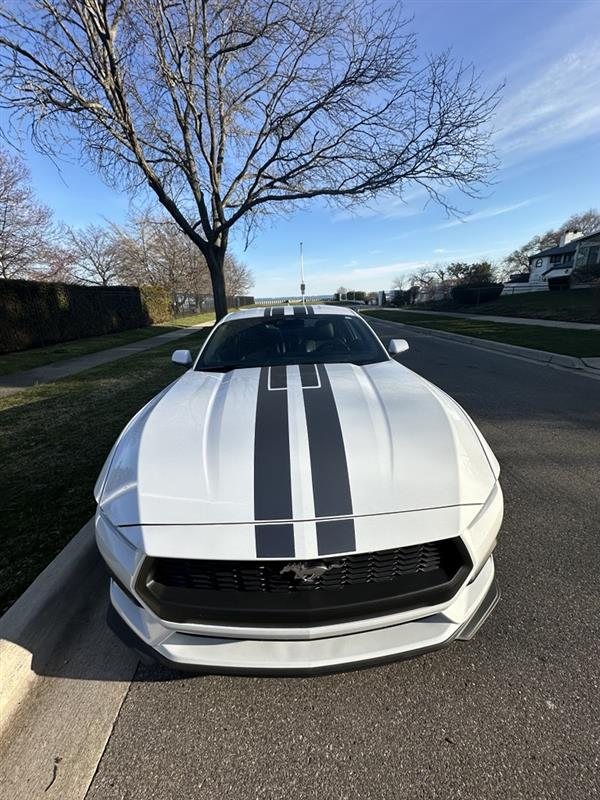 Front view of the Oxford White Mustang with racing stripes on a neighborhood street