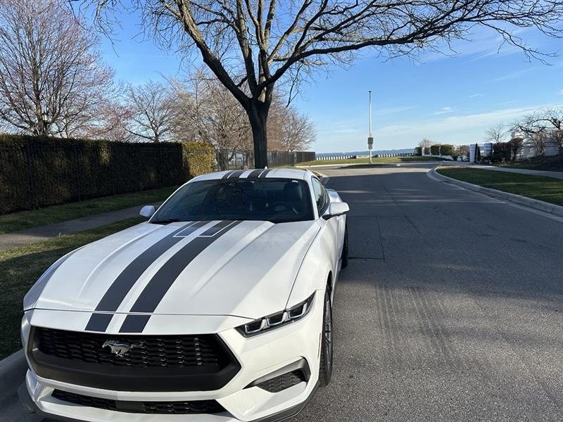 2024 Ford Mustang EcoBoost in Oxford White with racing stripe, parked by the water